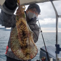 ソルトウォーターガイドフレンズ 釣果