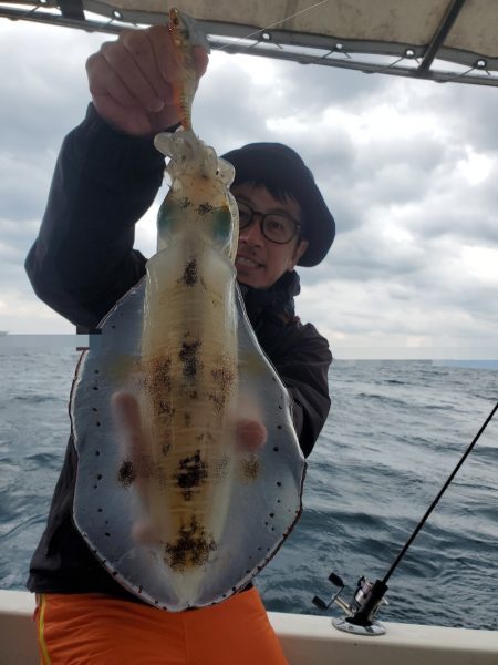 ソルトウォーターガイドフレンズ 釣果