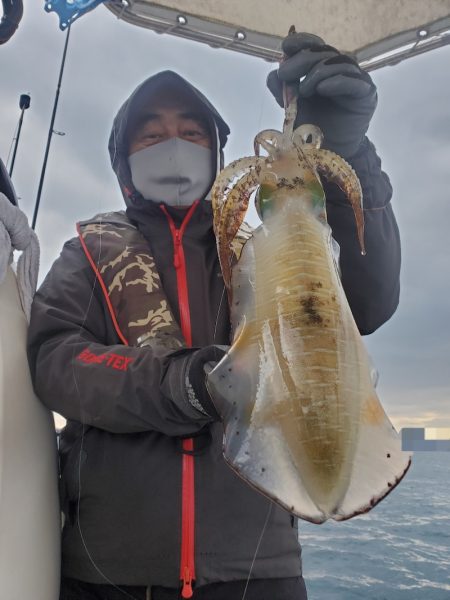 ソルトウォーターガイドフレンズ 釣果