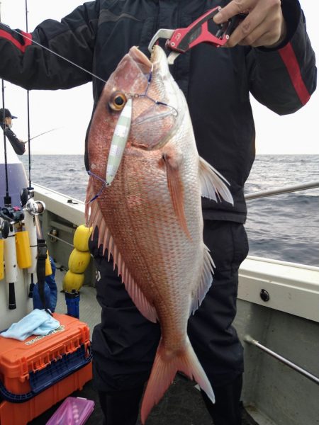 光生丸 釣果