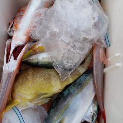 第二龍勢丸 釣果