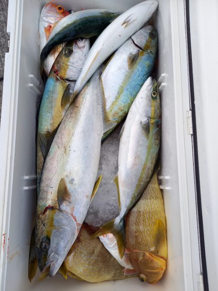 第二龍勢丸 釣果