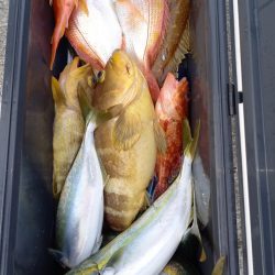 第二龍勢丸 釣果