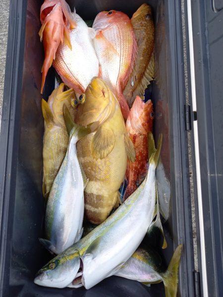 第二龍勢丸 釣果