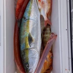 第二龍勢丸 釣果