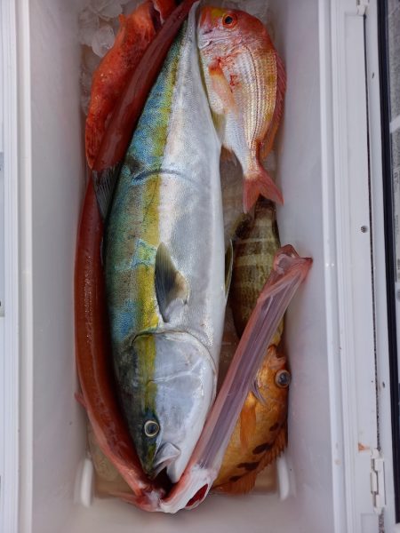 第二龍勢丸 釣果