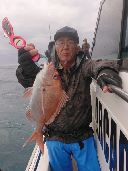 ARCADIAⅡ (アルカディアⅡ) 釣果