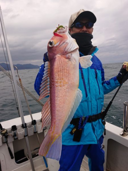 ARCADIAⅡ (アルカディアⅡ) 釣果