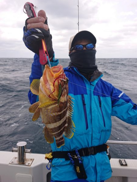 ARCADIAⅡ (アルカディアⅡ) 釣果