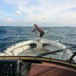 ARCADIAⅡ (アルカディアⅡ) 釣果