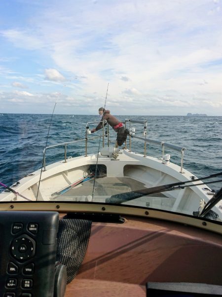 ARCADIAⅡ (アルカディアⅡ) 釣果