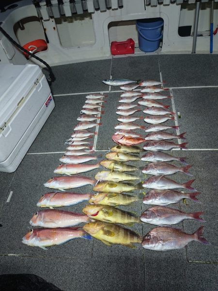 ARCADIAⅡ (アルカディアⅡ) 釣果