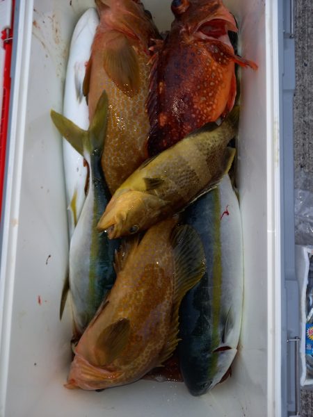 第二龍勢丸 釣果