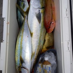 第二龍勢丸 釣果