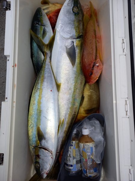 第二龍勢丸 釣果