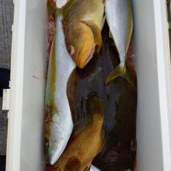 第二龍勢丸 釣果