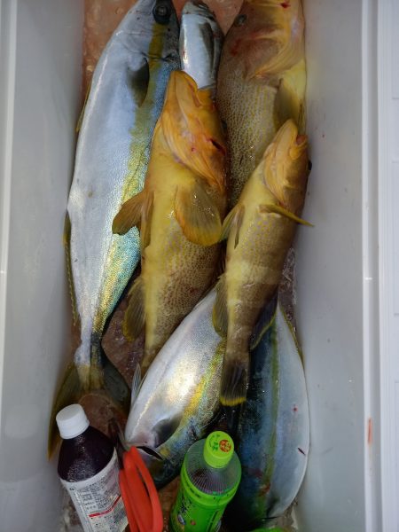 第二龍勢丸 釣果