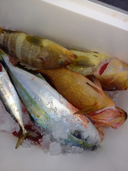 第二龍勢丸 釣果