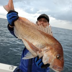 シーライオン 釣果