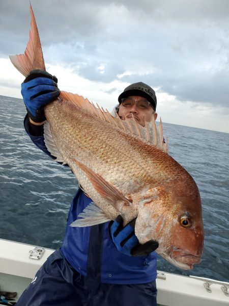 シーライオン 釣果
