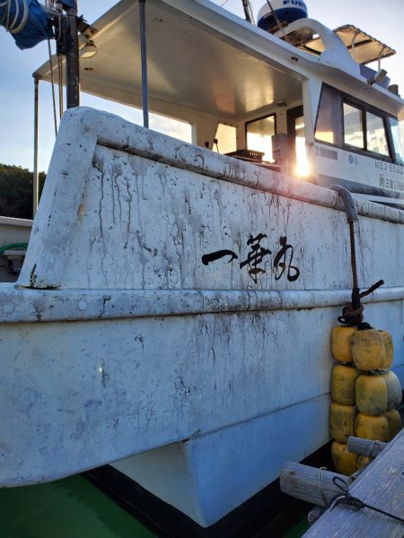 一華丸 釣果