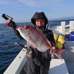 エンペラー 釣果