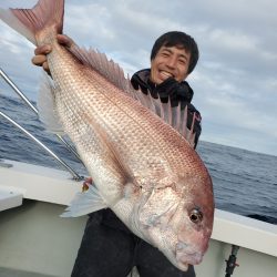 シーライオン 釣果