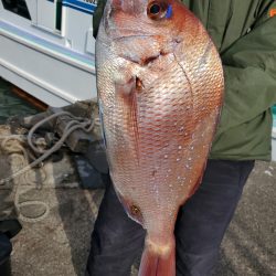 富士丸 釣果