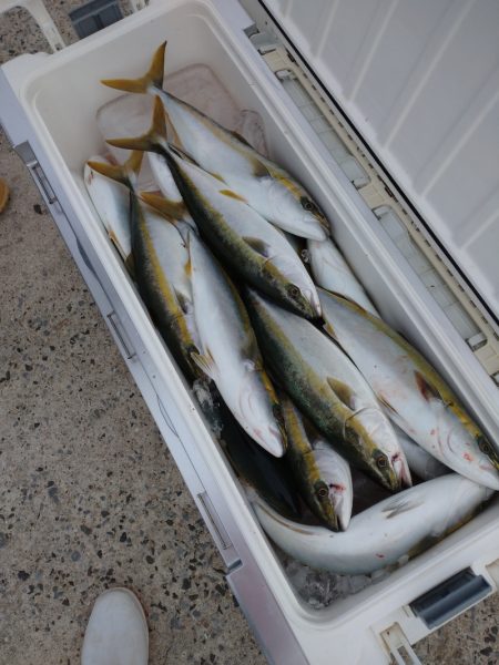 ありもと丸 釣果