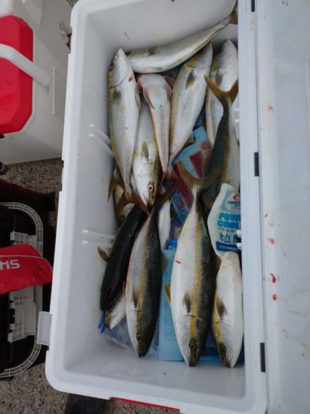 ありもと丸 釣果