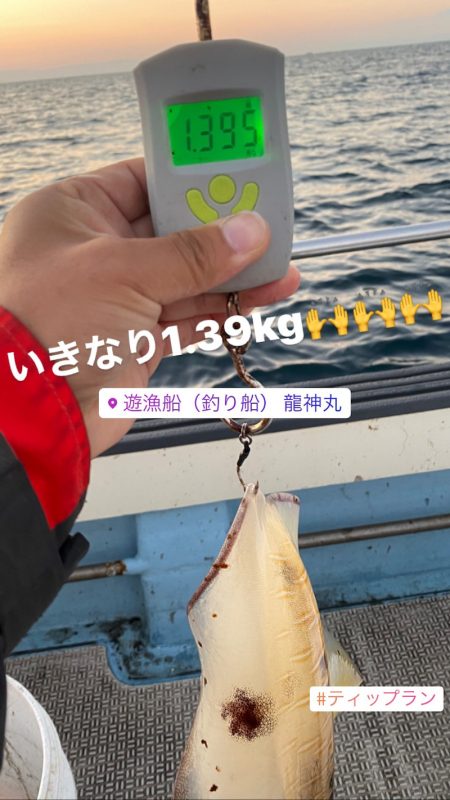 龍神丸（鹿児島） 釣果