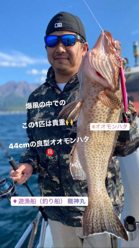 龍神丸(鹿児島) 釣果