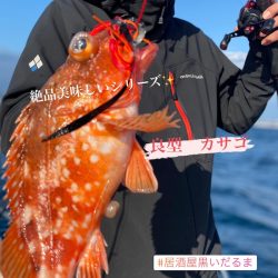 龍神丸(鹿児島) 釣果