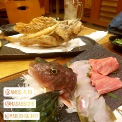 龍神丸(鹿児島) 釣果