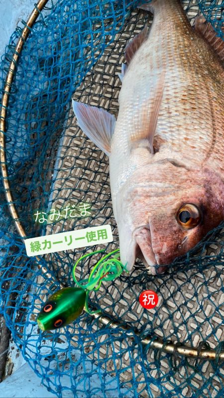 龍神丸（鹿児島） 釣果