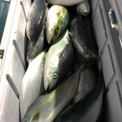 第二八坂丸 釣果