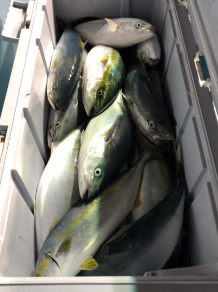 第二八坂丸 釣果