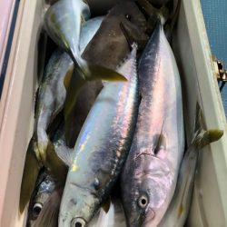 第二八坂丸 釣果