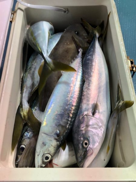 第二八坂丸 釣果