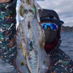 渡船屋たにぐち 釣果