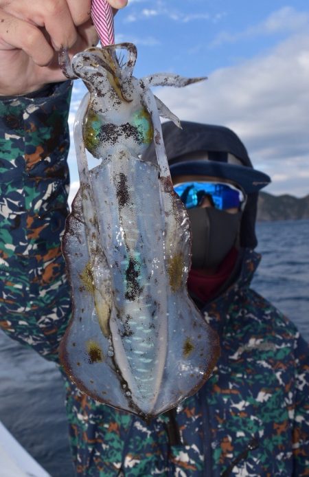 渡船屋たにぐち 釣果