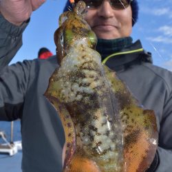 渡船屋たにぐち 釣果