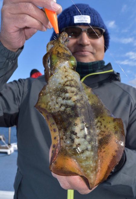 渡船屋たにぐち 釣果