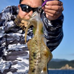 渡船屋たにぐち 釣果