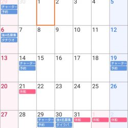 遊漁船 家入 釣果