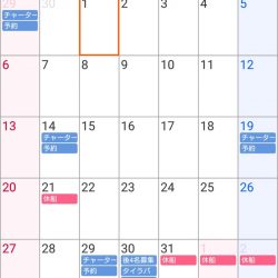 遊漁船 家入 釣果