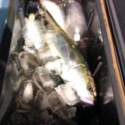 第二八坂丸 釣果