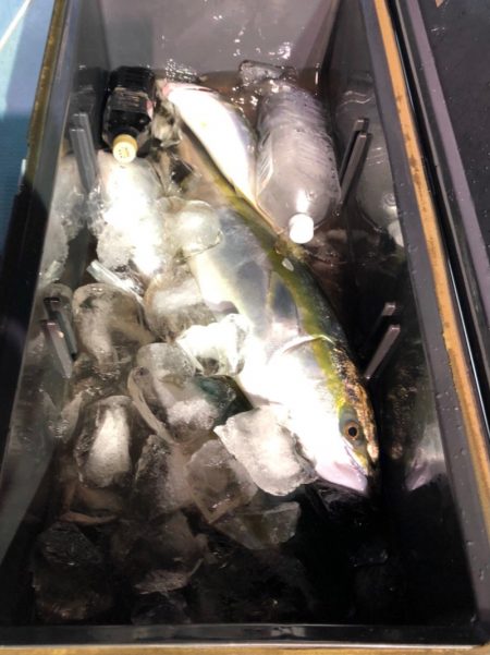 第二八坂丸 釣果