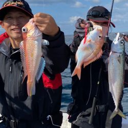 あみや渡船 JIGBOY 釣果