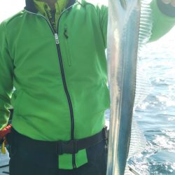 岡田釣船 八英丸 釣果